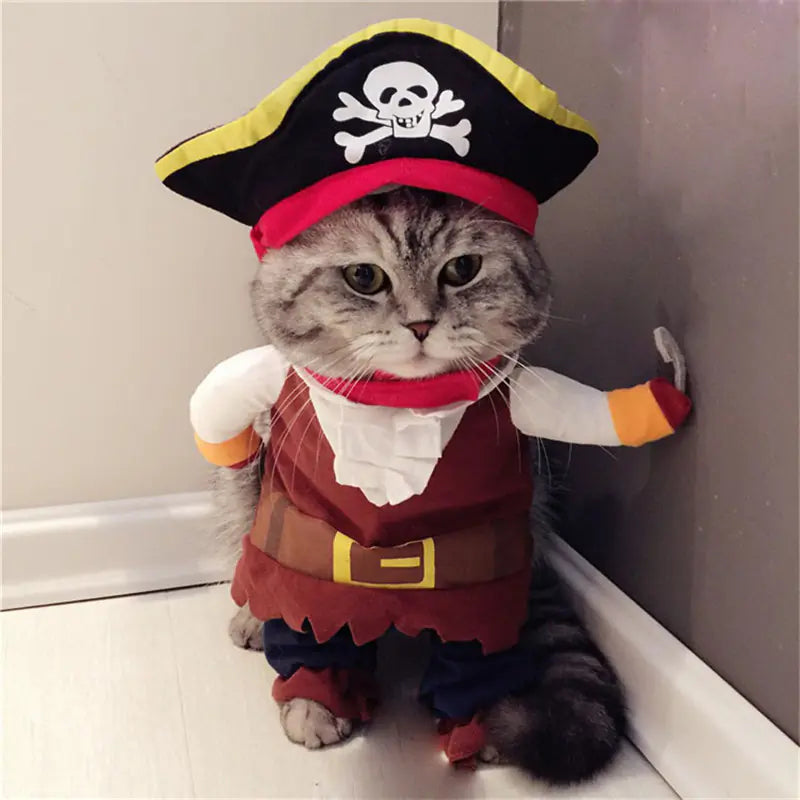 Teddy Pirate Pet Costume for Your Furry Friend