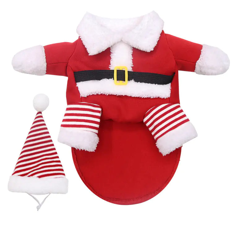 Teddy Pirate Pet Costume for Your Furry Friend