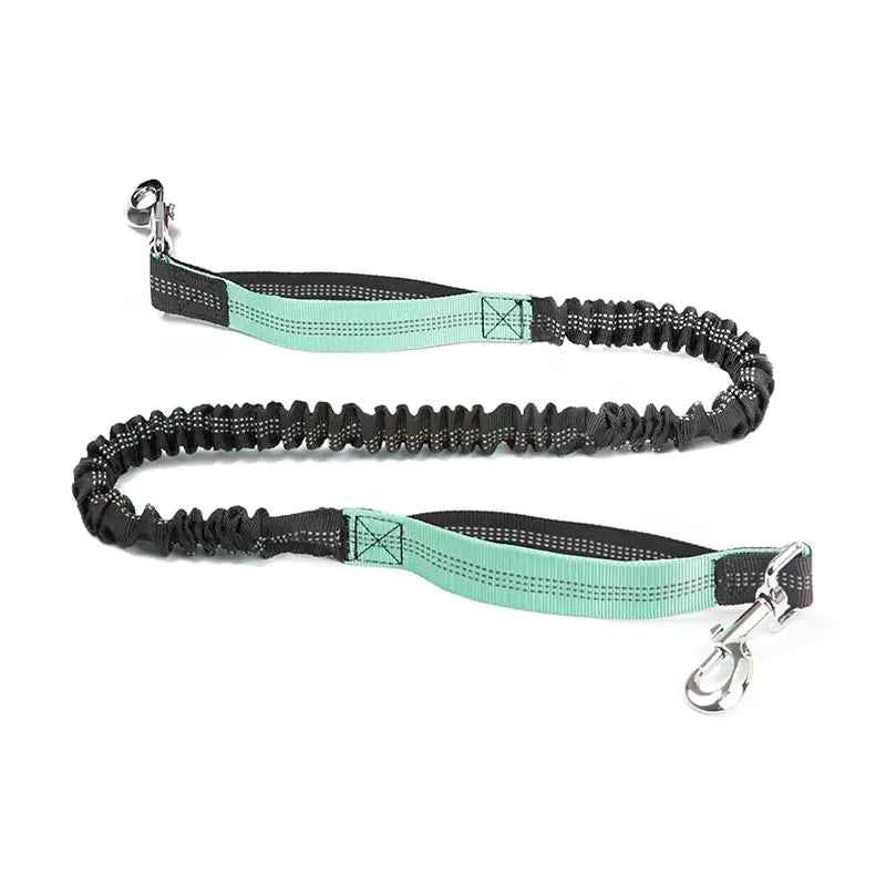 Cross-Border Amazon Pet Running Waist Bag with Leash