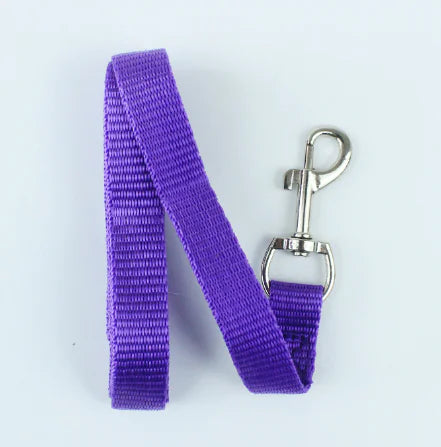 Pet Leash (Single Item)